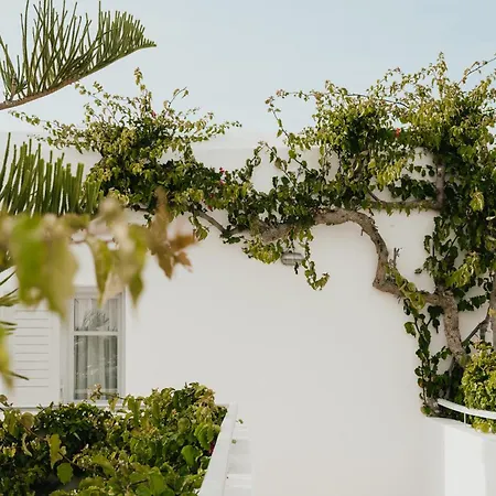 Hotel Mr And Mrs White Paros 4*
