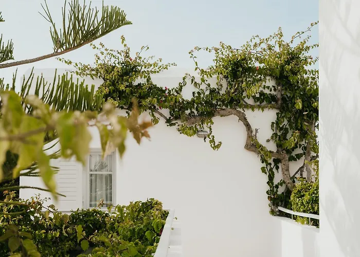 酒店 Mr And Mrs White Paros 4*